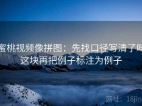 蜜桃视频像拼图：先找口径写清了吗这块再把例子标注为例子