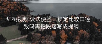 红桃视频 读法便签：锁定比较口径一致吗再把段落写成提纲