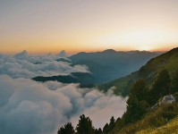 91.com像排错：先查转折词是不是在带方向，再做一次对照阅读（先把信息弄直） ｜ 写作时也能直接套用