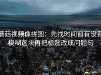 蘑菇视频像拼图：先找时间窗有没有模糊这块再把标题改成问题句