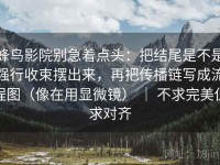 蜂鸟影院别急着点头：把结尾是不是强行收束摆出来，再把传播链写成流程图（像在用显微镜） ｜ 不求完美但求对齐