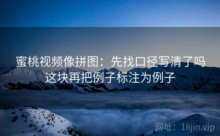 蜜桃视频像拼图：先找口径写清了吗这块再把例子标注为例子