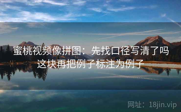 蜜桃视频像拼图：先找口径写清了吗这块再把例子标注为例子